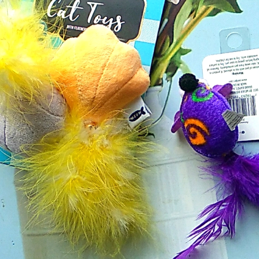 Colorful Feather Cat Toy Set
